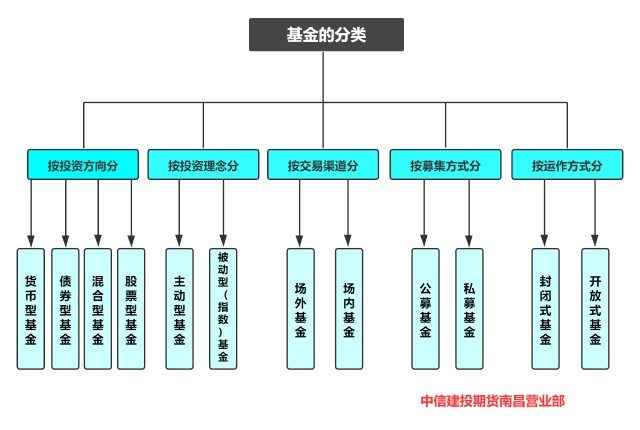 助力建设高水平体育强省，奥运冠军领衔广东众将冲刺十五运会