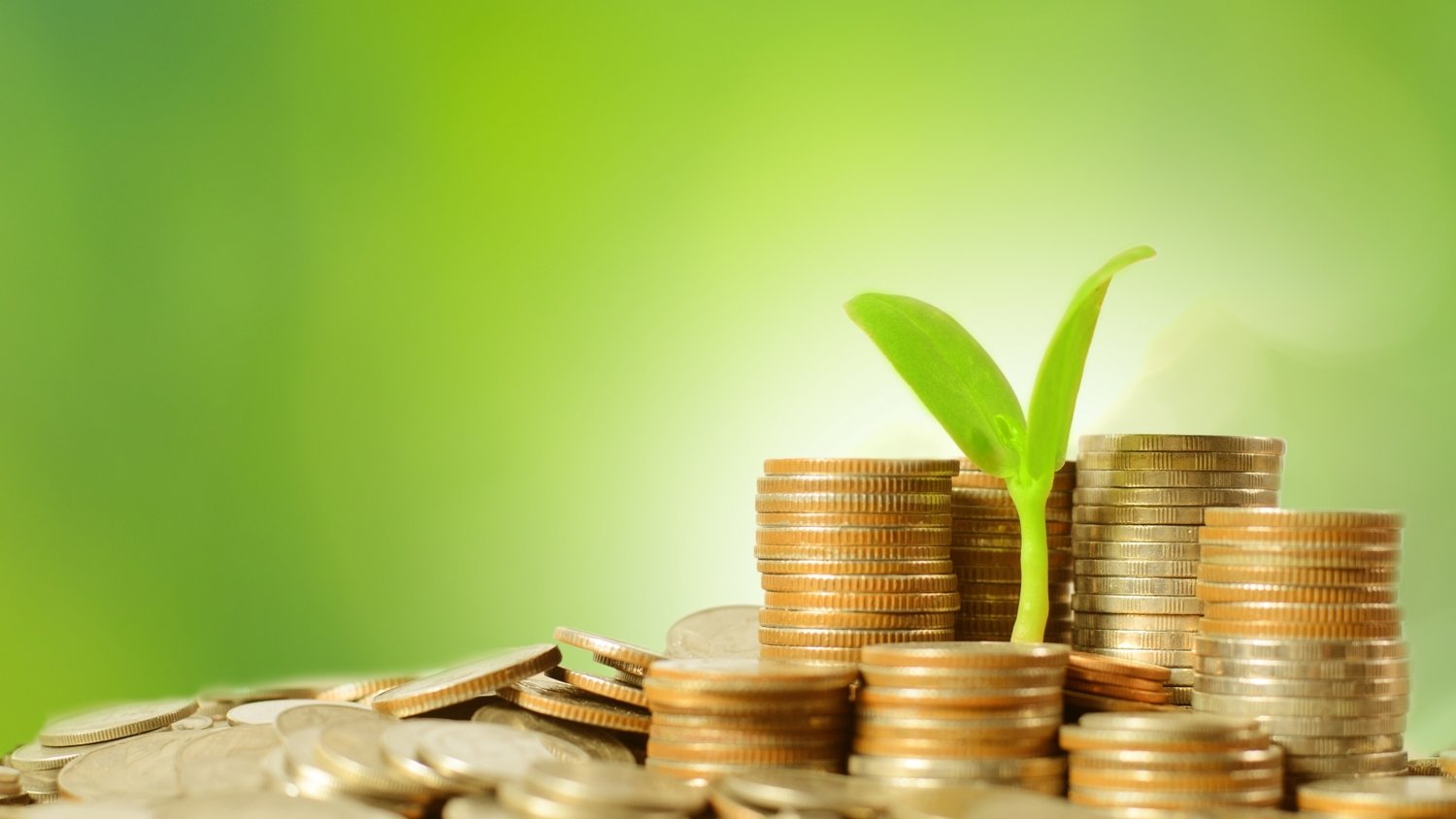 安徽阜南全面推行电子营业执照更好惠企惠民